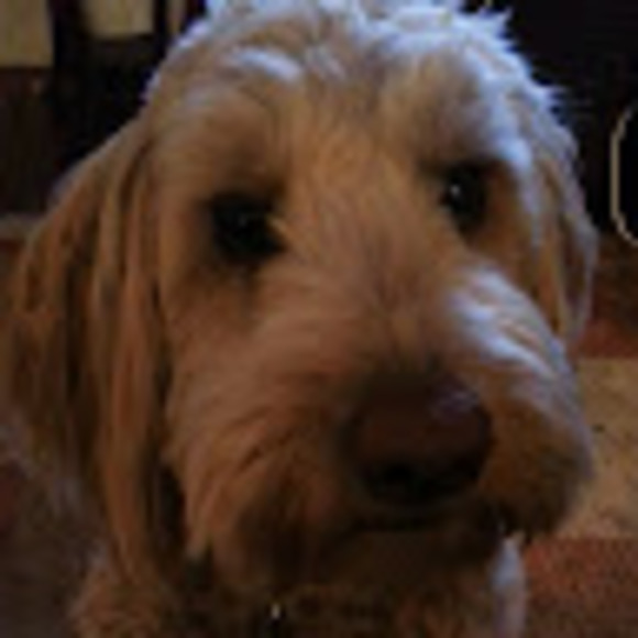 Meet your Posher, Claire - Picture 1 of 1